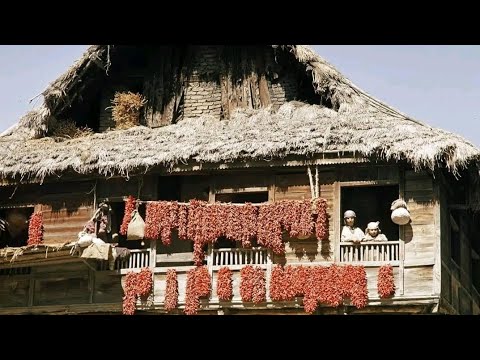 Yeli Yaad Pewan Shameema Azad