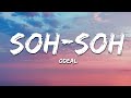 Odeal Soh Soh Lyrics
