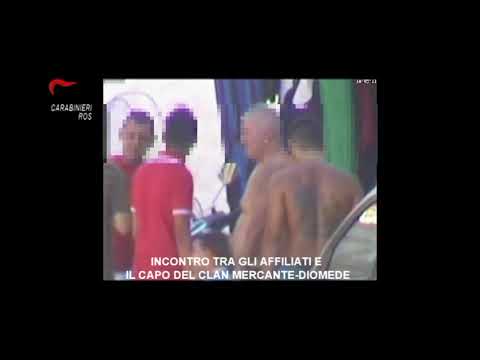Il menisco del sigillo ginocchio Protesi SVIZZERA