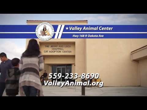 Valley Animal Center - Customer Success Story