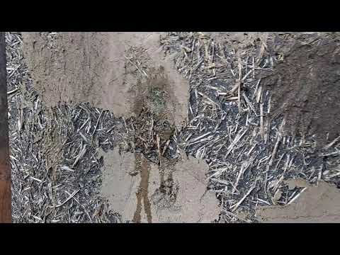 Clay plaster fermented with 50% grass (chopped) - water resistance test