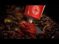 Gordon Ramsay How To Make Tikka Masala Sauce