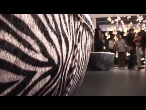 Видеообзор