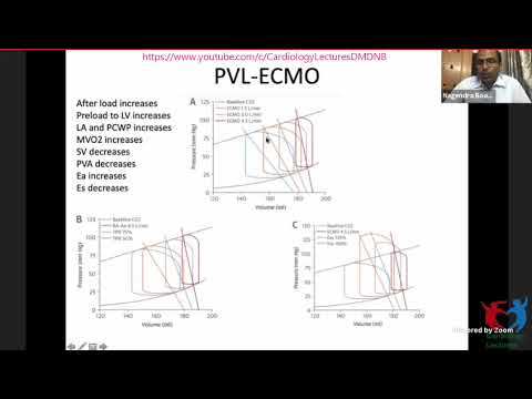 Hemodynamics in Complex PCI