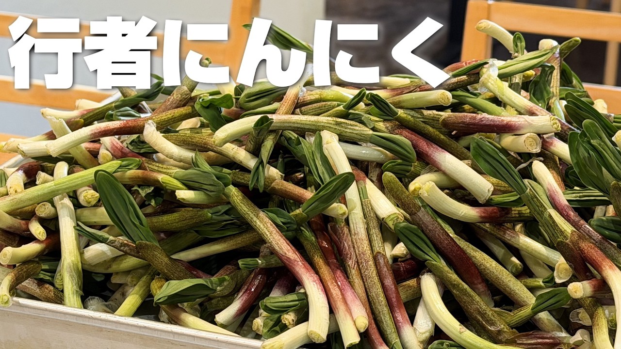 冷蔵庫で数ヶ月保存できる行者ニンニク醤油漬けの作り方