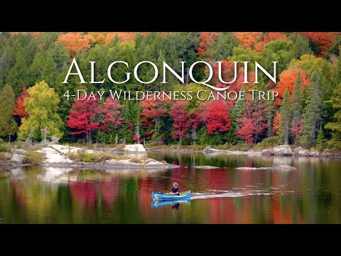 Wunderschöner 4-tägiger Solo-Kanuausflug durch die Wildnis des Algonquin Parks