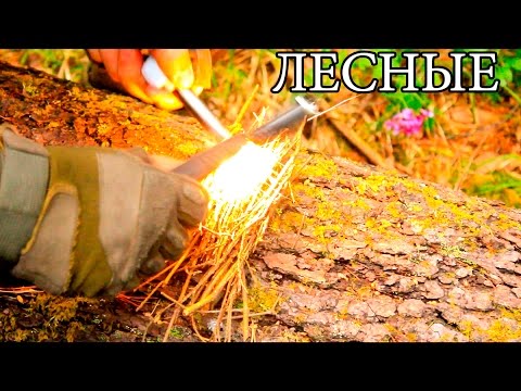 Лесной бензин | Стекло и огонь