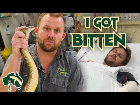 Bitten By Deadly King Brown Snake  | Venom Diaries