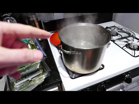 download lagu mp3 mp4 Shishito Pepper Pasta, download lagu Shishito Pepper Pasta gratis, unduh video klip Shishito Pepper Pasta