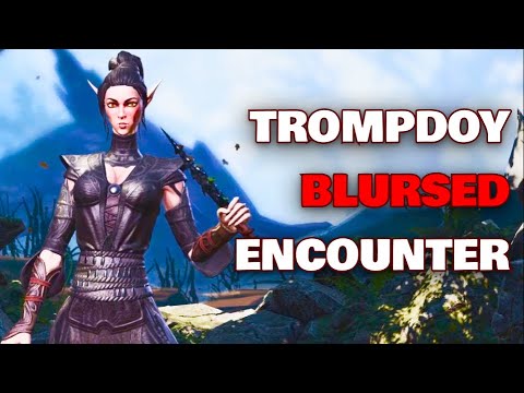 Sebille BARKING? | Divinity Original Sin 2