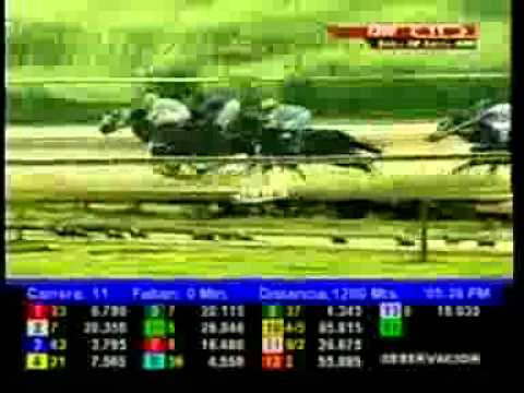 11va Carrera Valencia Viernes 01 Agosto