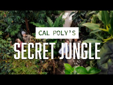 Cal Poly's Secret Jungle | Plant Conservatory Tour