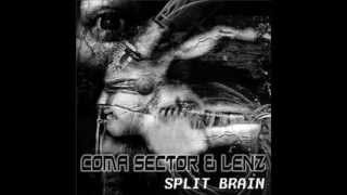 Coma Sector - Wicked Puppy