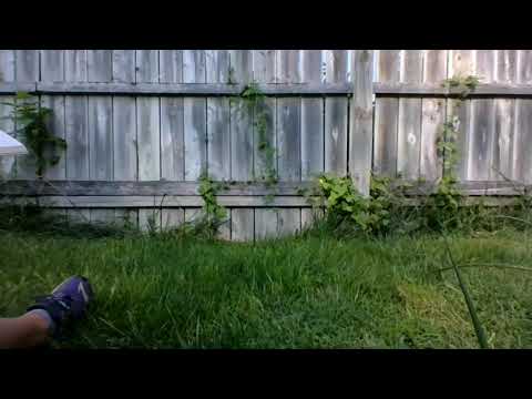 Ender's Game Chapter 14 Part 1