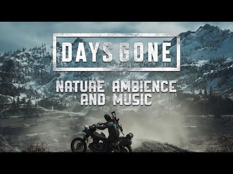 Days Gone  |  Nature Ambience and Music  |  4K