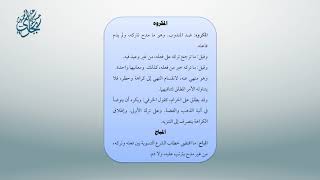 صورة معاقد الأُصُول – شرح مختصر الروضة 18