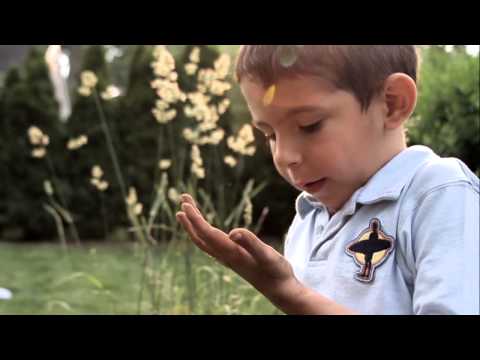 Lewis learns about Handwashing with Lifebuoy