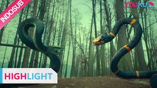 Download lagu Highlight (Metamorphosis) Pertarungan dua ekor ular raksasa | YOUKU [INDO SUB] mp3