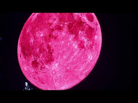 6  U2   One Tree Hill