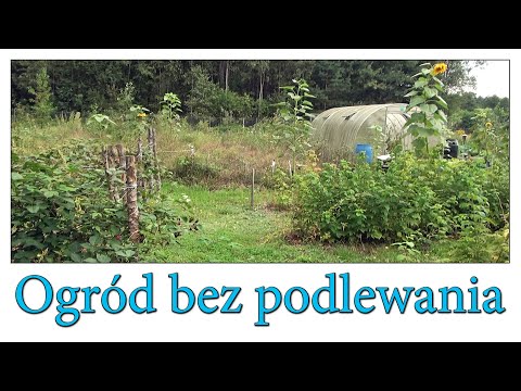 Ogród bez podlewania - Ogrodowe pierdamony 122