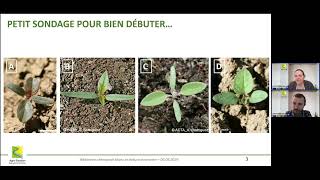 Webinaire Chénopode blanc et Datura stramoine : des adventices pas toujours simples à maîtriser