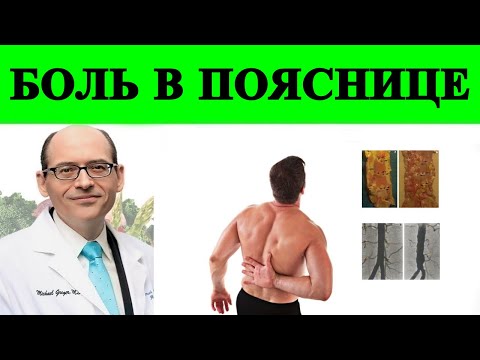 Найдена основная причина боли в пояснице - доктор Майкл Грегер