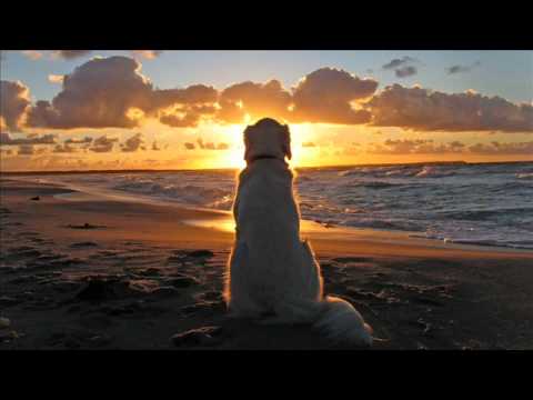 Albin Myers - I Amsterdam (Original Mix)