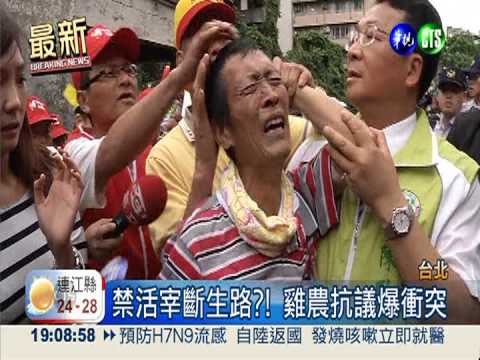 禁活宰斷生路?! 雞農抗議爆衝突