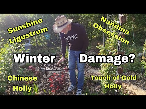 What SURVIVED? Garden Update