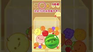スイカゲームで3500点いった！と思ったのに・・・ #スイカゲーム #shorts