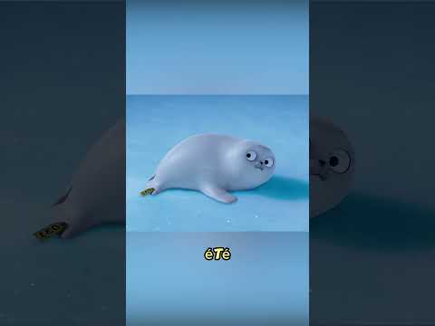 Le difficile voyage du petit phoque