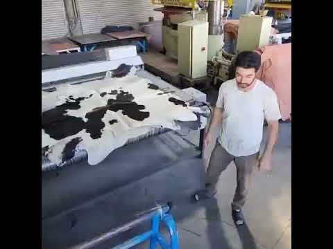 July 26, 2022 .khate tolid charm o pust dar namayi kutah