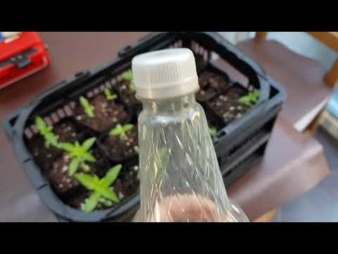 UKFN 2019 - Round 1 Complete