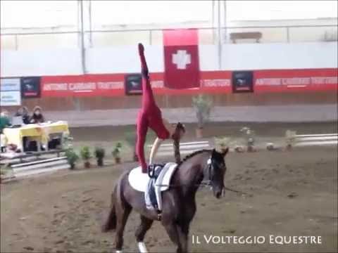 CVI Portogruaro 2016 - Volteggio - Ind 2* s F - 1°Julia Sophie Wagner