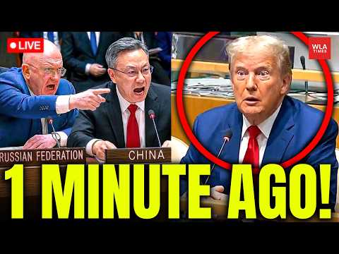 Russia & China Crush U.S. Live at UN! Veto Iran Sanctions Watchdog Video-Thumbnail von YouTube