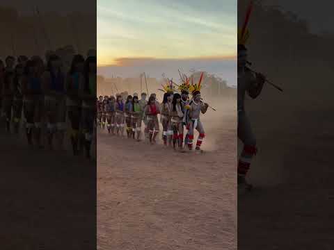 Ritual do Jawari do povo kuikuro #culture #indigenous #ancestral #xingu