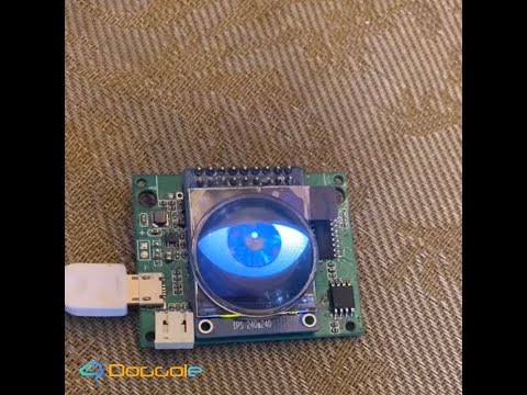 Simulation human eye display module 1