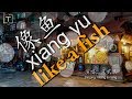 像鱼 - xiàng yú - like a fish WITH PINYIN AND LYRICS