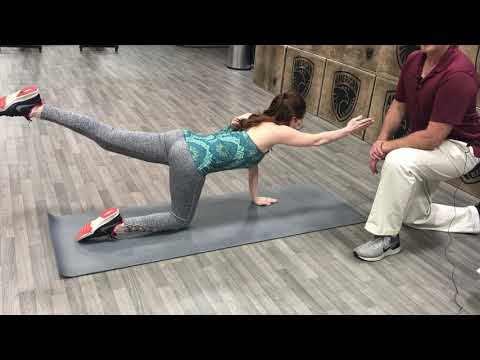 Opposite Arm & Leg Lifts for Back & Neck Relief!