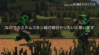 カスタムスキン入れれました(PS3)後フレンド募集中