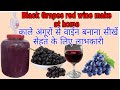 Black Grapes Wine Make At Home Desi Shrab Food Recipes