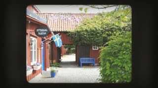 preview picture of video 'Restaurang Sölvesborg - Restaurang Blåregn'