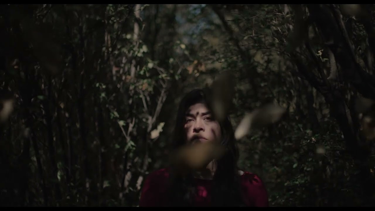 Largo camino al amanecer / Long Journey Till Dawn -  Trailer