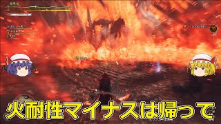 【モンハンワイルズ】ゾシアやるなら火耐性だけはつけて来て下さい【ゆっくり実況】