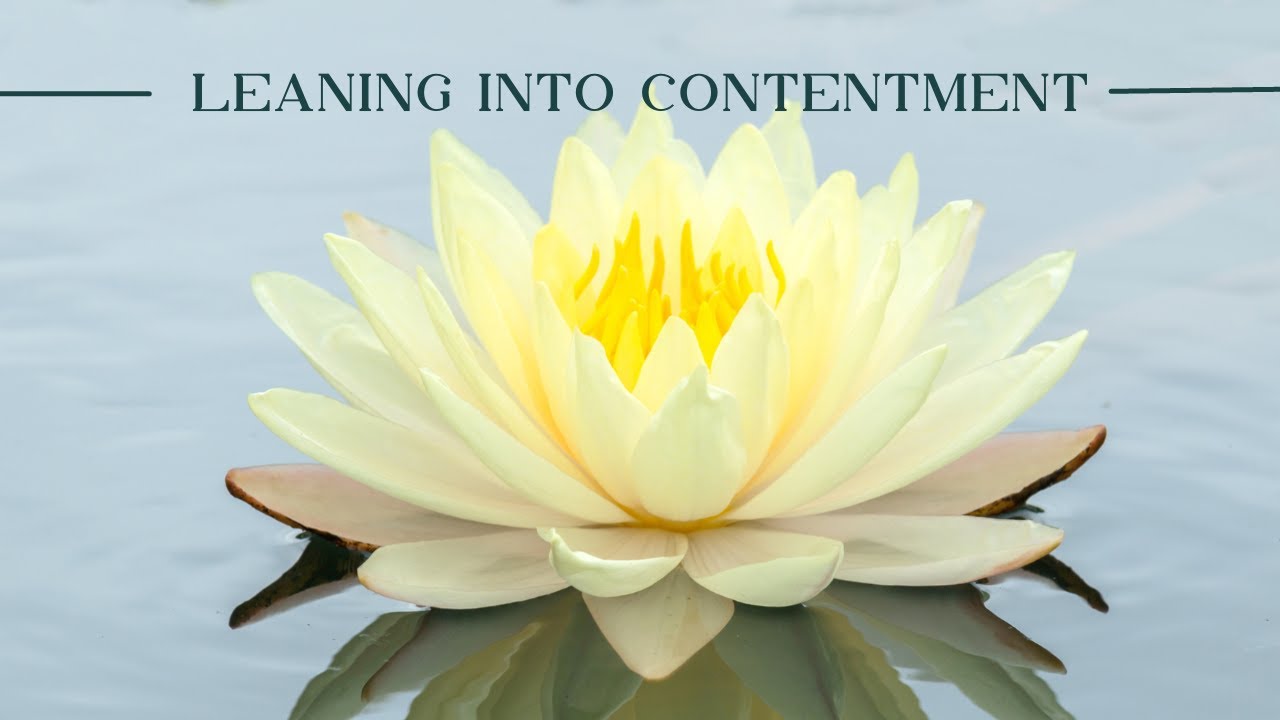 Leaning Into Contentment | Guided Meditation
