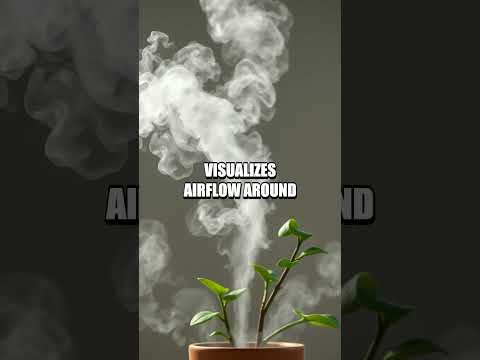 The Tiny Home Microclimate Lab