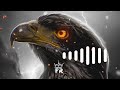MOST POPULAR EAGLE RINGTONE POPULAR SONGS NOCOPYRIGHT
