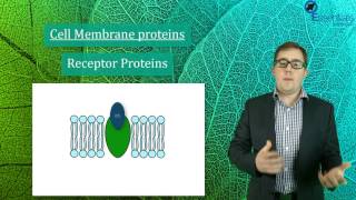 Essentials Concept Video SACE2 Biology - Cell Membranes