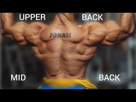 Top 4 Exercises for UPPER BACK and MIDDLE BACK