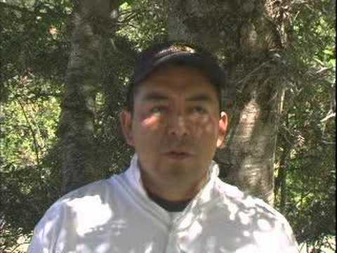 Video Apicultura Bio-Bio Cordillera parte 1